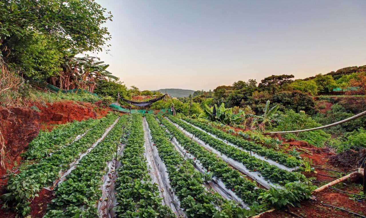 Treebo La Paradise Hotel Mahabaleshwar Exterior photo