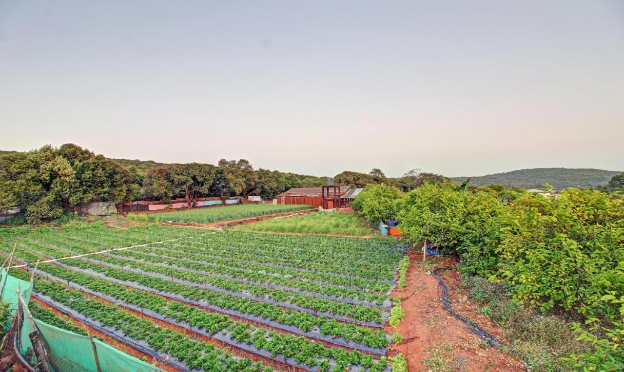 Treebo La Paradise Hotel Mahabaleshwar Exterior photo