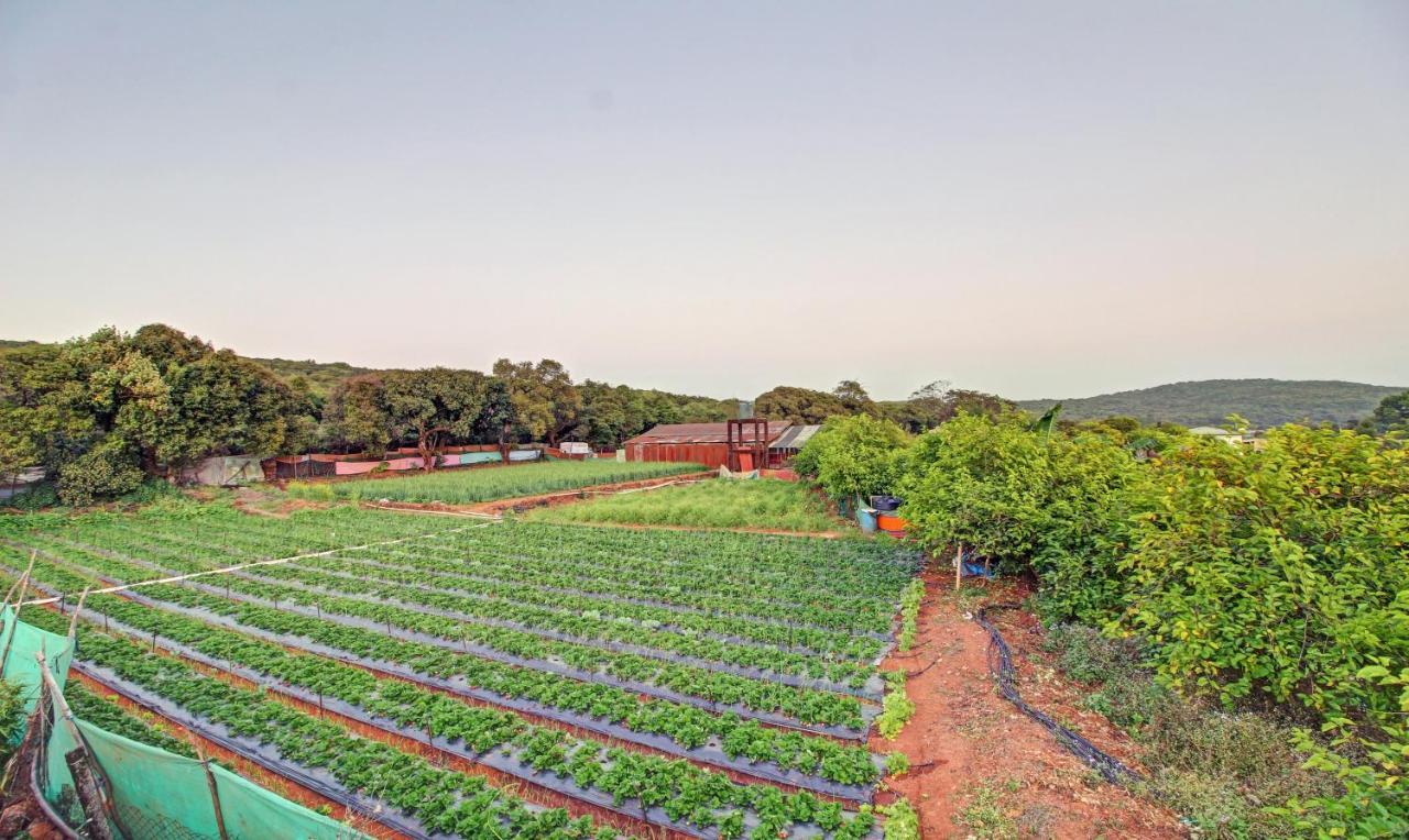 Treebo La Paradise Mahabaleshwar Exterior photo